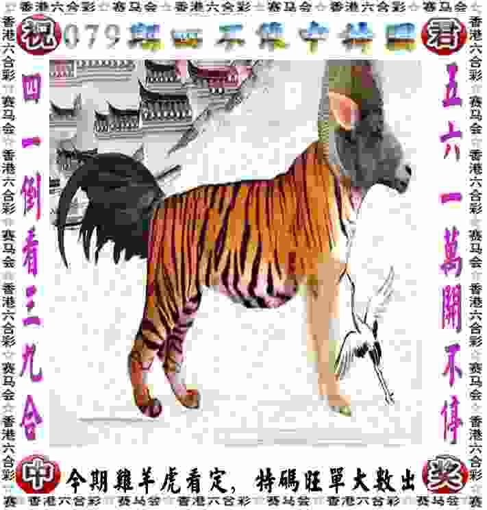 >555525王中王心水高手